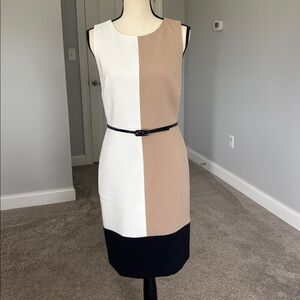 Colorblock Sleeveless Sheath Dress with Belt